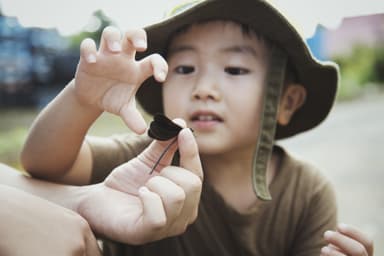 【11月30日開催】都市の生物多様性フォーラム