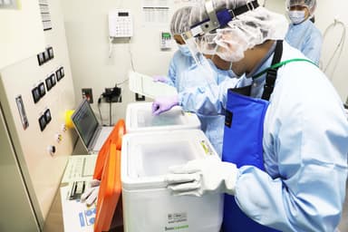 研究の様子
