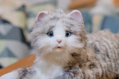 あまえんぼうねこちゃん4