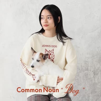 Common Noun