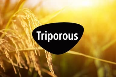 SWP#2_triporous