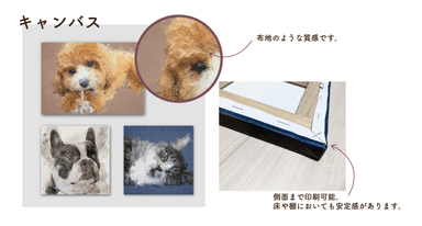 キャンバス