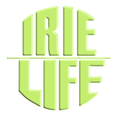 合同会社IRIE