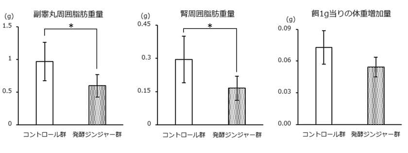 「発酵ジンジャーエキスパウダー」で
内臓脂肪蓄積抑制効果を確認