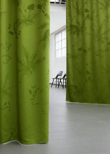 DIMMER IVY