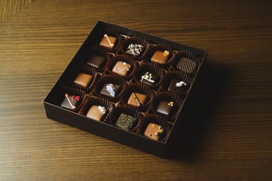 ビナショコラ16個入り(1)