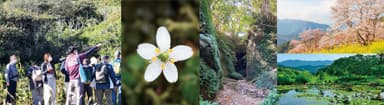 草花を体感できるスポットの一例