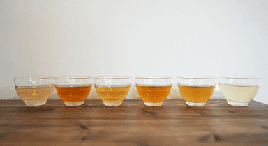発酵度合いによる風味の違いを体感