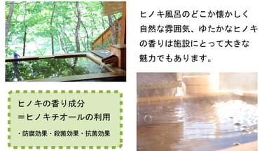 桧の香り成分＝ヒノキチオール