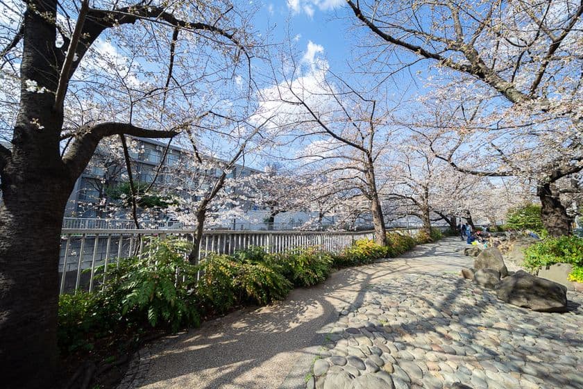 東京都中野区・東中野に「ソーシャルベース東中野」が
2023年3月25日(土)オープン　仕事も遊びもアクティブに