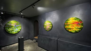 展示イメージ