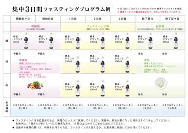 集中3日間ファスティングプログラム例