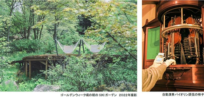 ROKKO森の音ミュージアム ゴールデンウィーク期間限定
朝のSIKIガーデン＆楽器準備公開
自動演奏バイオリンの調弦など公開実演