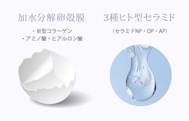 ライゼオリジナル成分