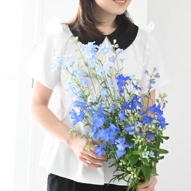 新作バイカラークリオネフリルブラウス