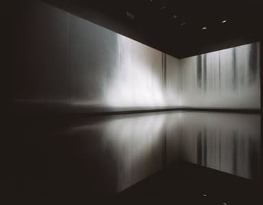「The Fall」過去の展示風景