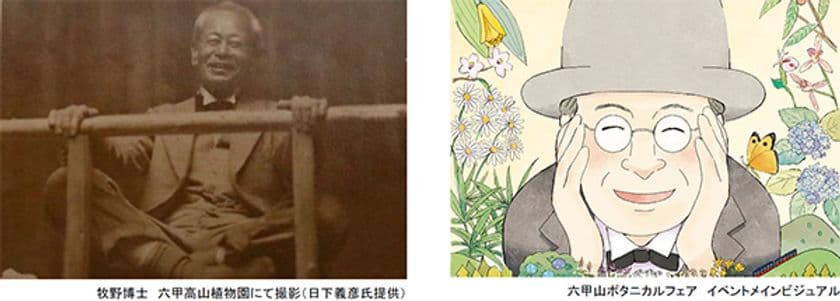 好評につき延長開催決定！
六甲山ボタニカルフェア
六甲高山植物園×ROKKO森の音ミュージアム合同開催
開催中～2023年8月15日（火）まで延長