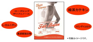 シェイプエクスプレス ファットバーン