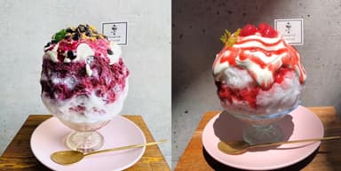 (左)ブルーベリークリームチーズヨーグルト美容氷　(右)古都華マスカルポーネヨーグルト美容氷