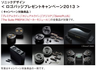 「ロゴバッジプレゼントキャンペーン2013 」、対象商品の一例です。