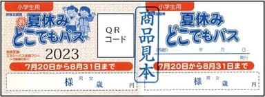 券面（見本）