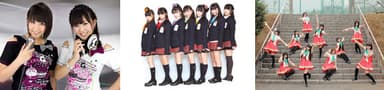 左から：Mary Angel、Jewel Kiss、とちおとめ25