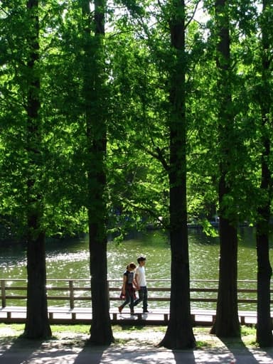 フォトコンテスト入賞「トキワ8情報局賞」-吉野裕治さんの作品「新緑の別所沼公園」
