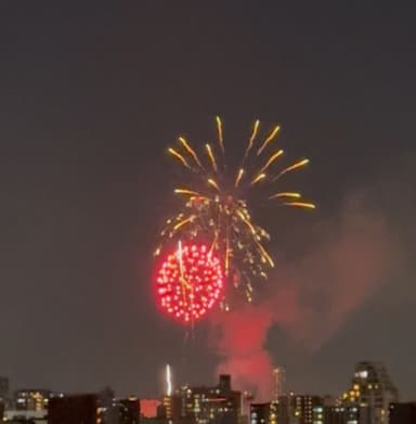 隅田川花火大会の様子