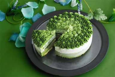 点てる抹茶15杯分の濃厚抹茶ミルクアイスケーキ