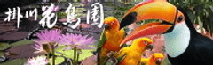 掛川花鳥園