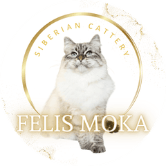 サイベリアン＆ネヴァマスカレードキャッテリー【Felis Moka】