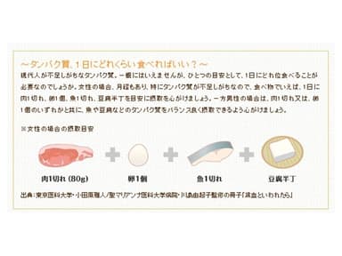 タンパク質摂取量情報
