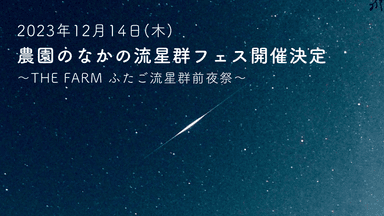 流星群フェスTOP