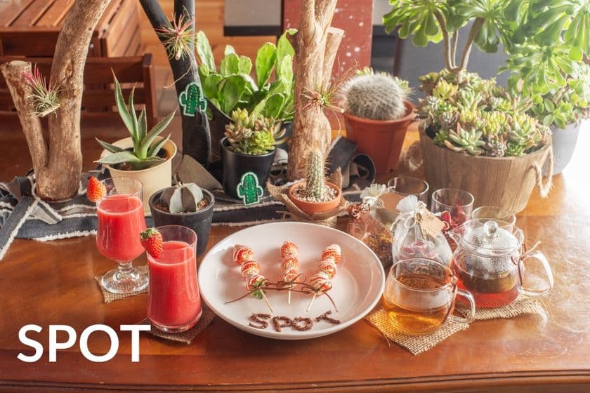 目指すは新しい形の公民館！多肉・観葉植物のお店SPOTが
第1回「SPOT PARTY」を1月27(土)・28(日)に開催