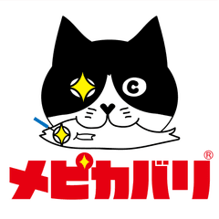 目光針院
