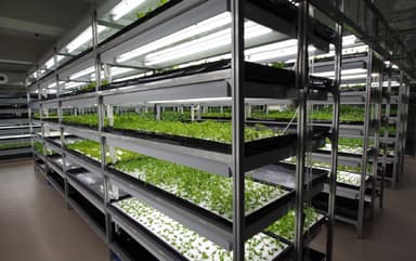 【香港】栽培ラック