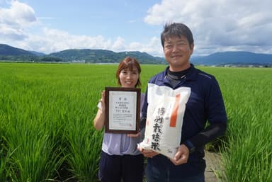 返礼品：「さがびより」※農薬不使用栽培米