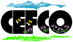 信濃の国／CEFCO