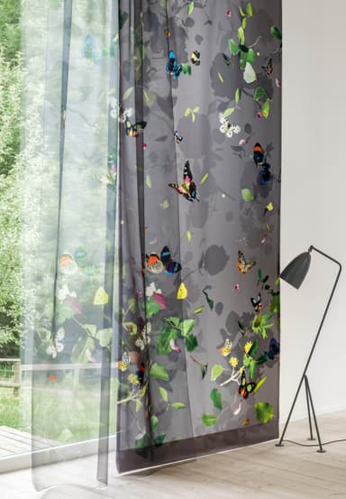 PAPILLON／PAPILLON VOILE