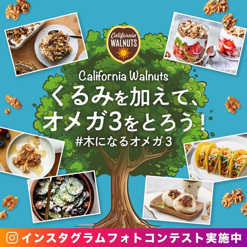 “身体に良い油”足りてる？くるみレシピが大集合！
くるみでオメガ3をとろう！インスタグラムフォトコンテスト　
4月29日(月)よりスタート