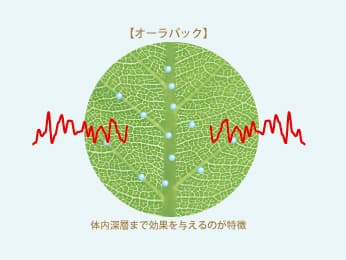 蒸散抑制の図
