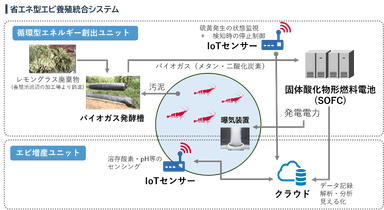 実証システムイメージ