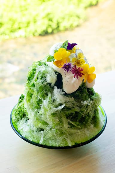 かき氷　抹茶
