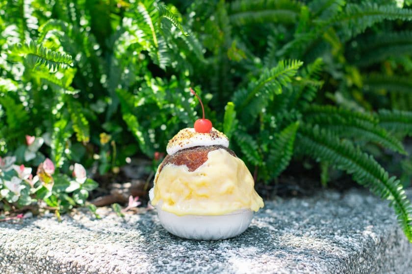 サクッ、フワッ、とろ～り！
高知のご当地プリン専門店「高知プリン亭」から
プリン・ア・ラ・モードをイメージした
“超豪華”プリン・ア・ラ・氷が新登場！