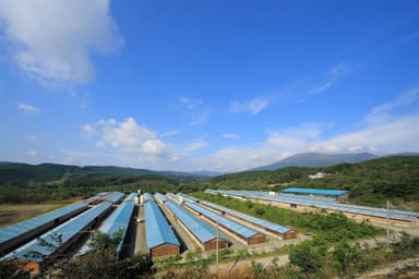 蔵王山麓・東京ドーム11個分の広大な自社直営牧場