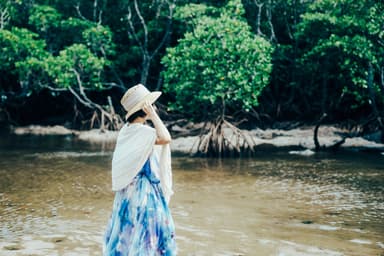 不定期でさまざまなエリアの薬草リサーチを行っています