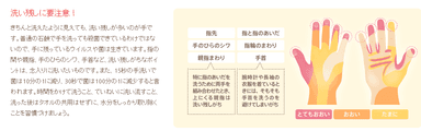 洗い残しが多い手のスポット