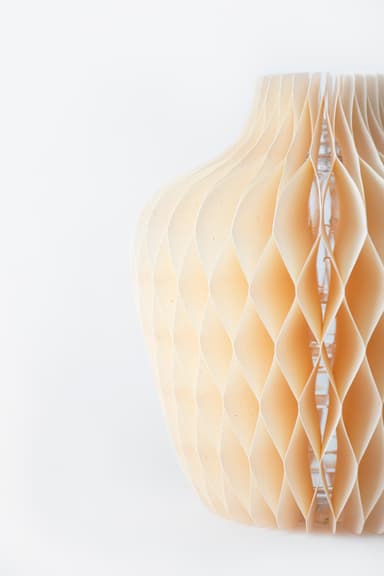 Dress Pot(6)