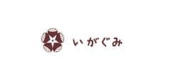 株式会社いがぐみ