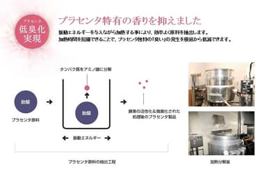 酵素分解